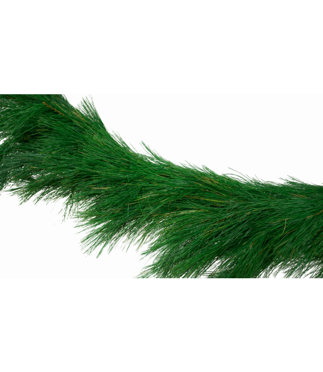 Garland White Pine 75'- CG