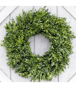 Boxwood Singleface Wreath