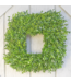Wreath - Boxwood SF Square