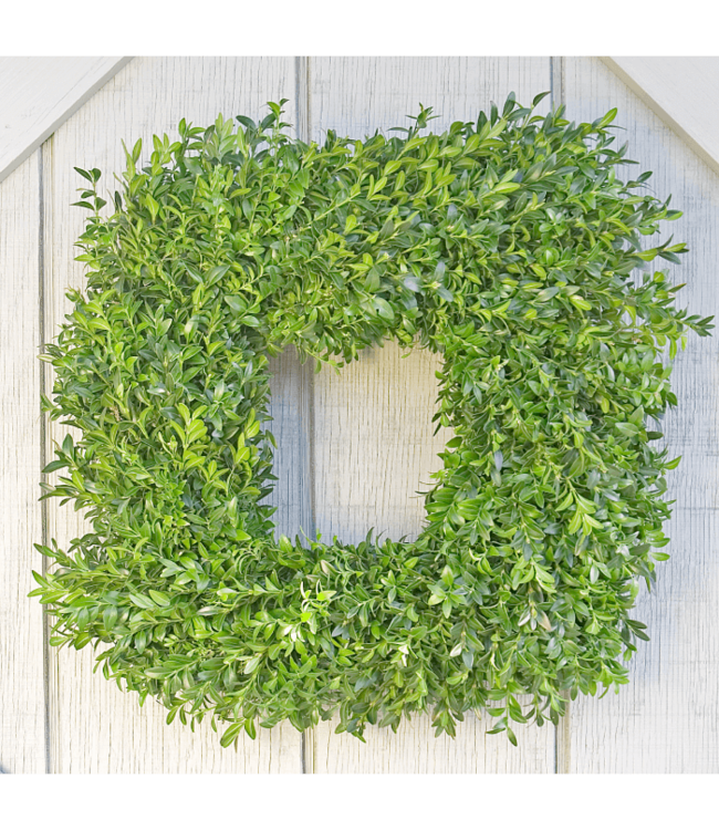 Wreath - Boxwood SF Square