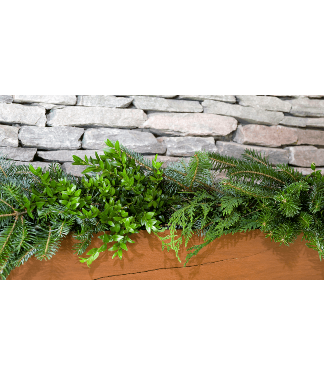 Mixed - Floral Grade