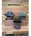 Berg Kobenhavner RAW Grey 10cm gift Set of 3