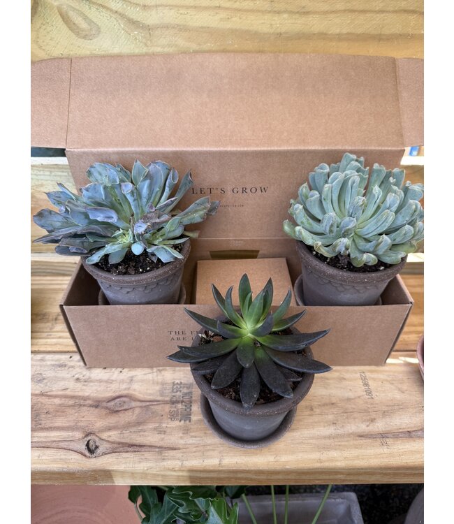 Berg Kobenhavner RAW Grey 10cm gift Set of 3