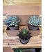 Berg Kobenhavner RAW Grey 10cm gift Set of 3