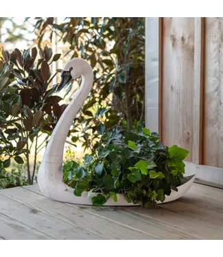 The Plant Shoppe Swan Container