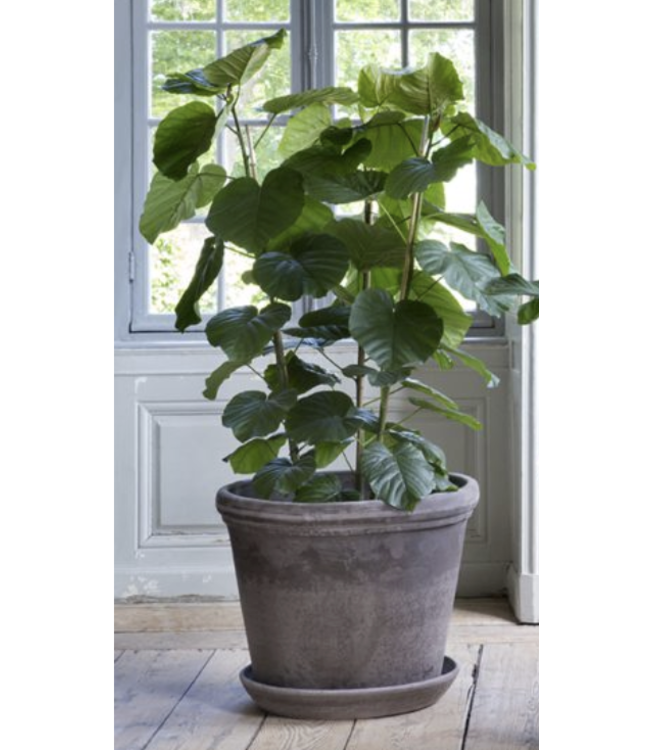 Berg Flora RAW Grey 70cm