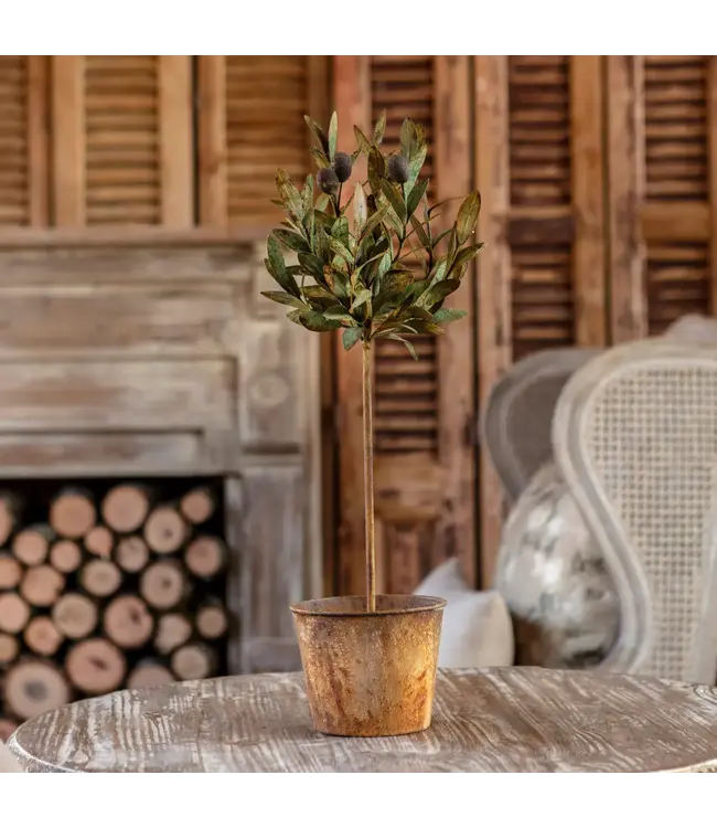 Olive Topiary Tole Potted