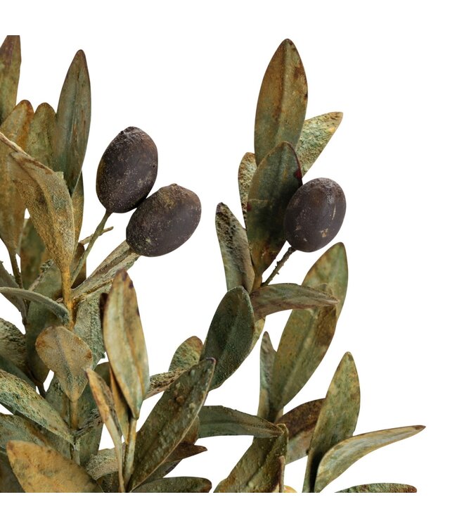 Olive Topiary Tole Potted