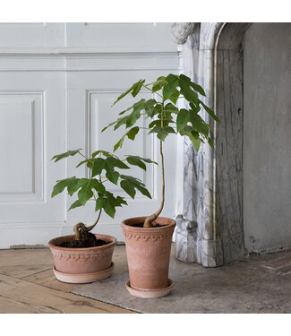 Berg Kobenhavner RAW Rosa Low Set 21cm