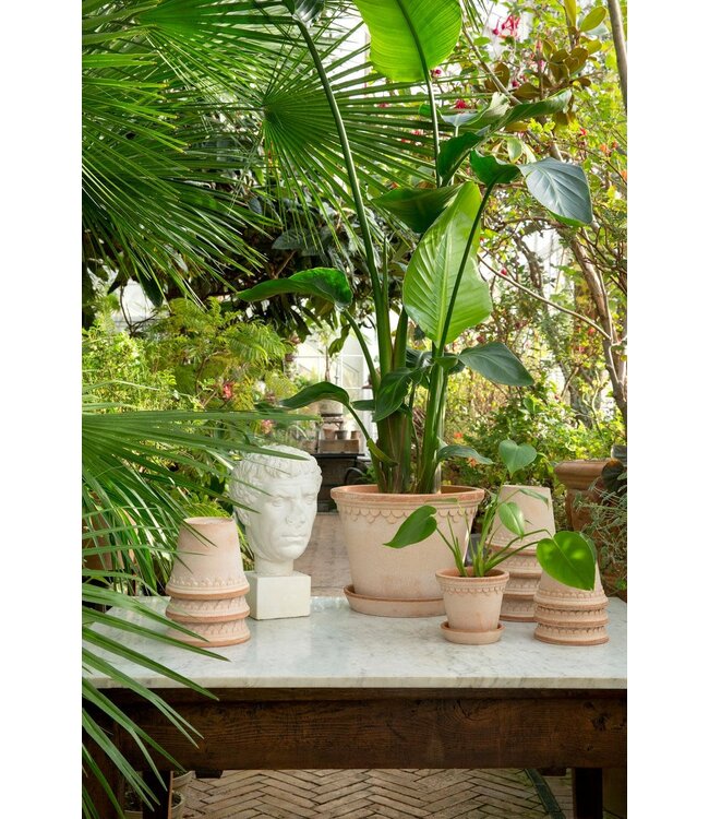 Berg Københavner RAW Rosa, Set 10cm