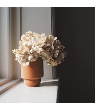 Berg Hoff RAW Rosa, Pot 14cm