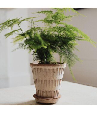 Berg Pantheon RAW Rosa, Set 18cm