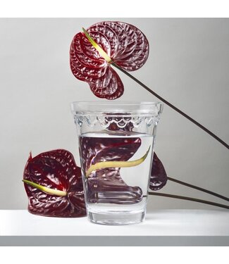 Berg Københavner GLASS Clear, Ø 15 cm, Vase