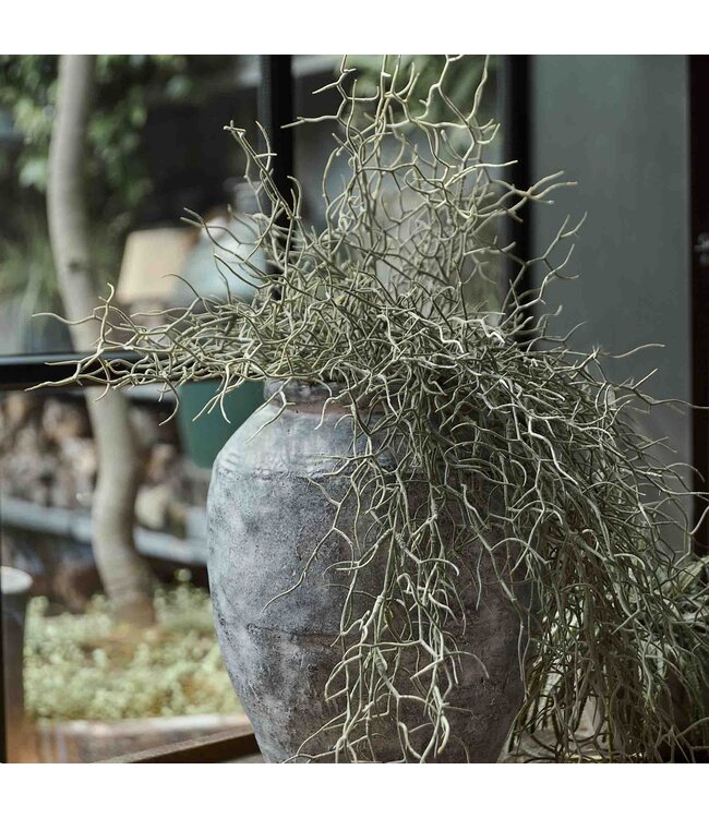 Abigail Ahern GRASS BUSH STEM