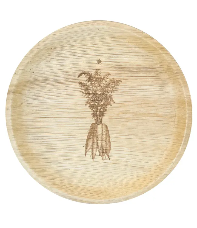 Carrot Plate 10" (Package of 8)