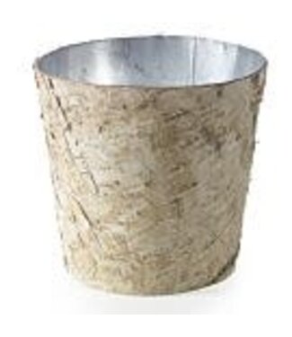 BIRCH POT WITH ZINC 8.5"X 8"