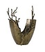 E+E MYSTIC BRANCH VASE 14"X 15"X19"