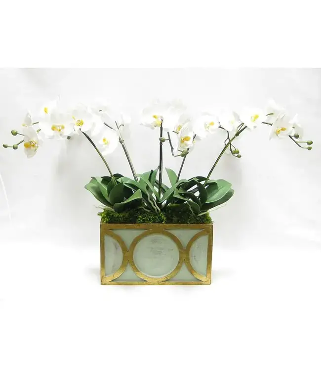Artificial White & Yellow Orchid- Rect Container w/Half Circle Green & Antique Gold