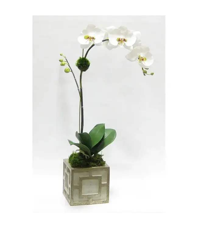 White & Green Orchid-Mini Square Container w/Grey and Antique Silver*