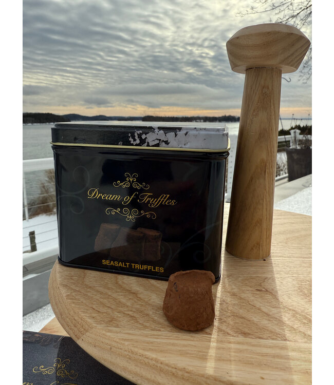 Sea salt chocolate truffle