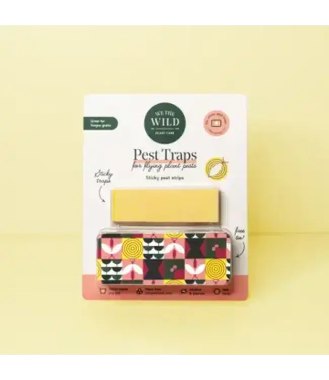 Compostable Gnat Traps