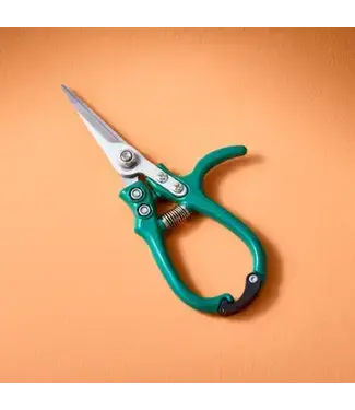 Garden Shears - Ocean
