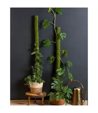 SuperMoss Moss Poles 24"