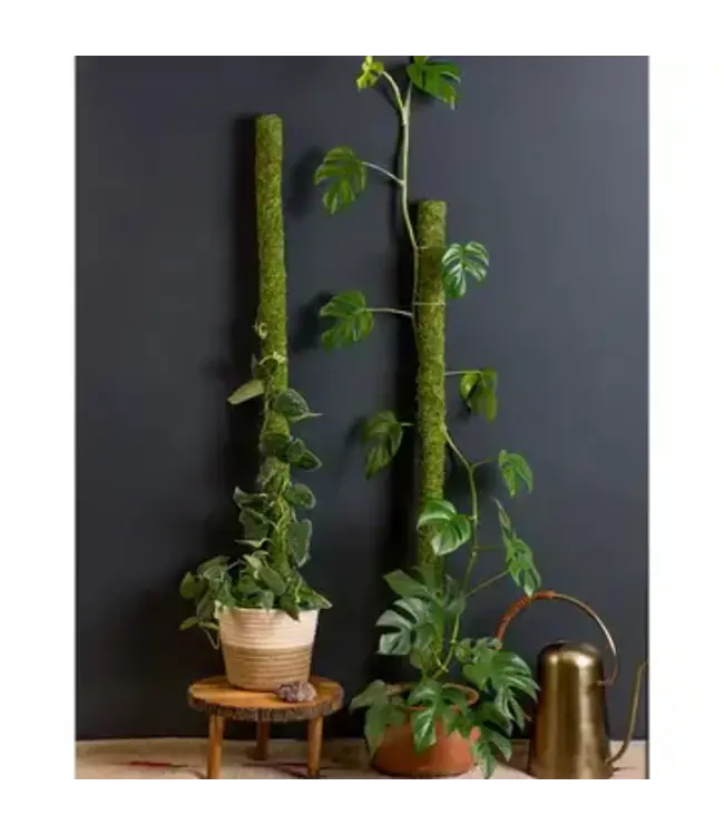 SuperMoss Moss Poles 24"