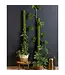SuperMoss Moss Poles 24"