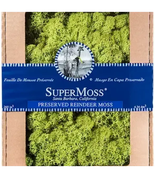 Reindeer Moss Chartruse 4oz