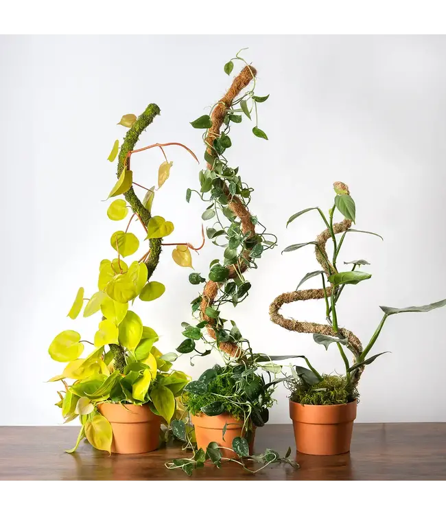 The SuperMoss Bendable SuperPole - Green Moss