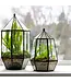 Glass Terrarium - Large