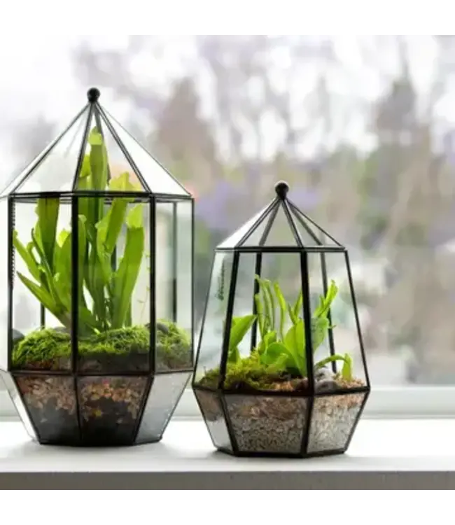 Glass Terrarium - Large