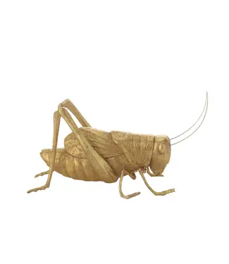 Resin Cricket 10.5"x4.25"