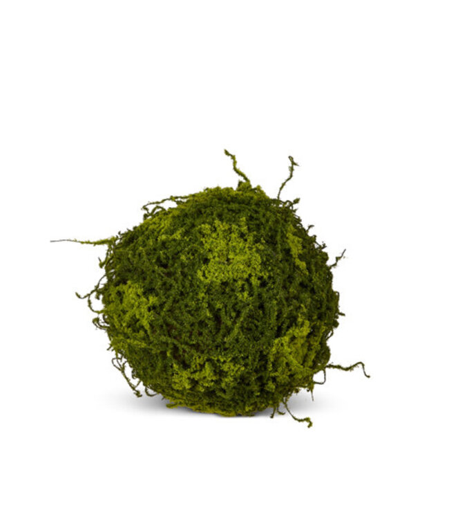 Moss Ball 10"
