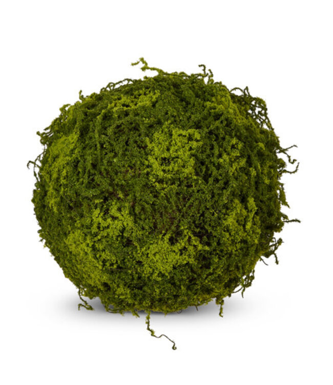 Moss Ball 12"