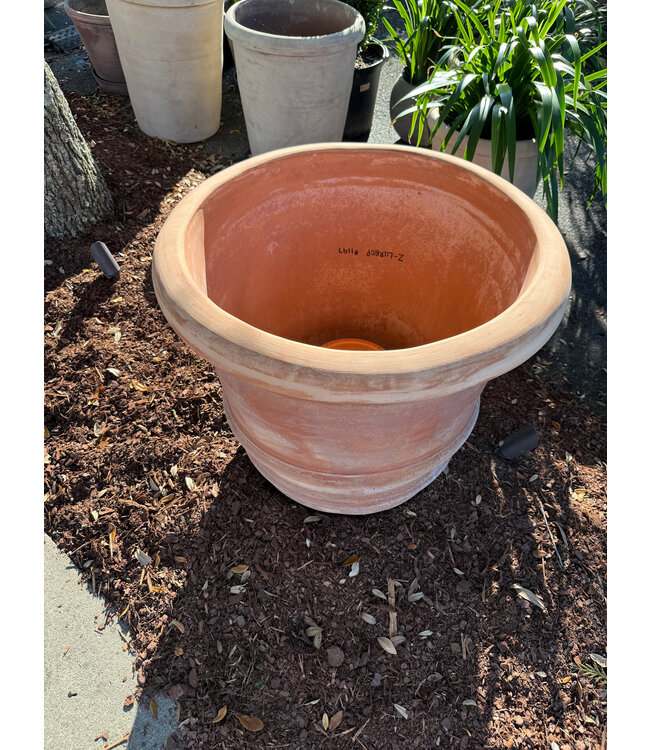 Berg Flora RAW Rosa 70 cm Pot