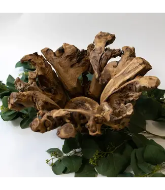 Branchy Bowl