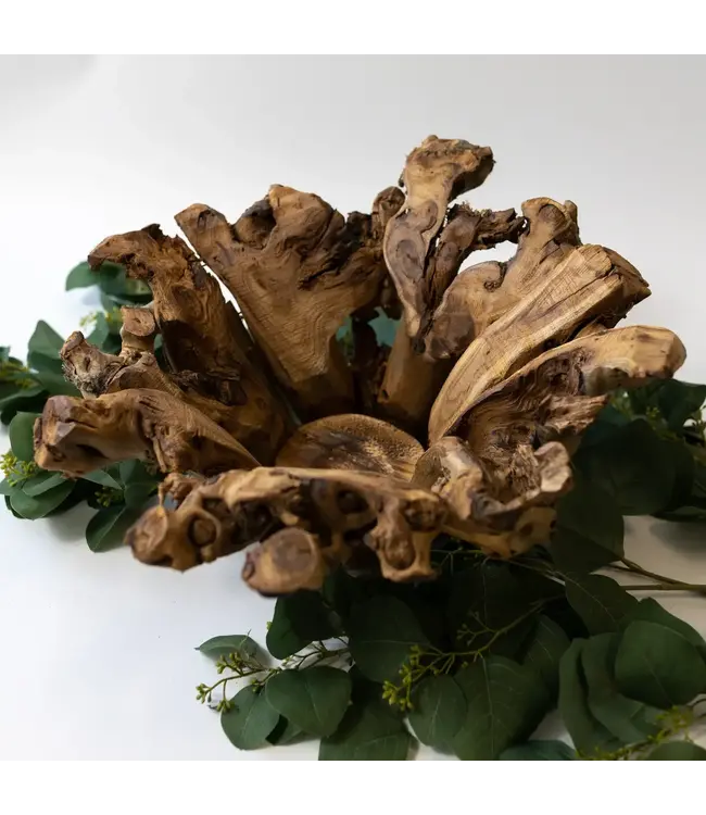 Branchy Bowl