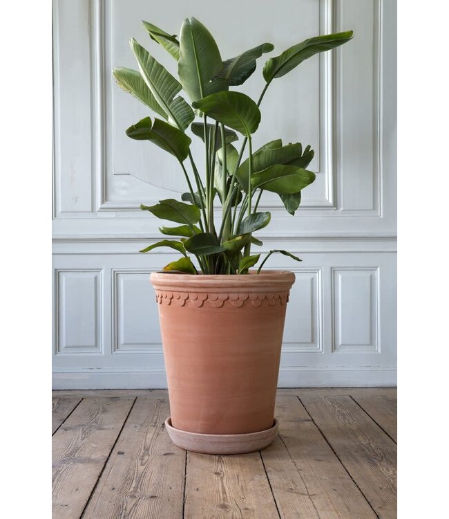Berg Københavner Raw Rosa 60cm, Pot