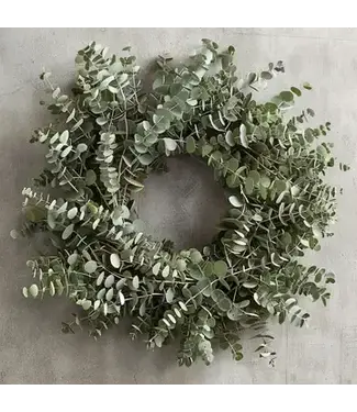 Baby Eucalyptus Wreath (Real Fresh Live Leaves) 12in