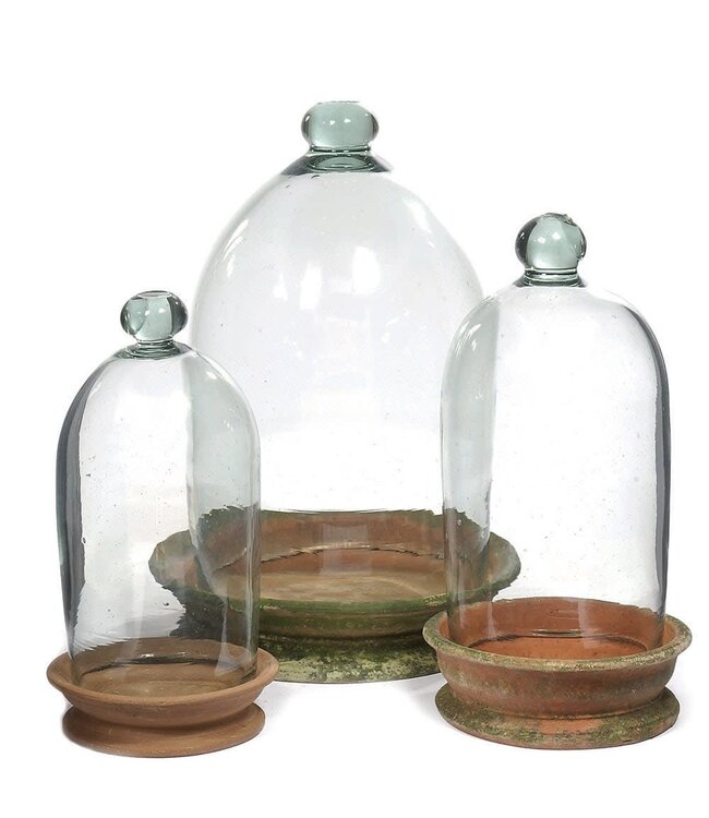 Terrarium - Large 12"D 17"H