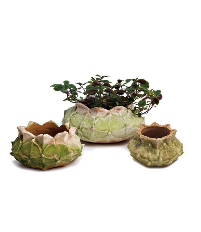 Corona Planter - Medium 12"