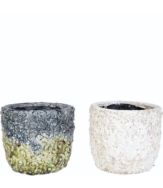 Legend Pot 6.5" Single