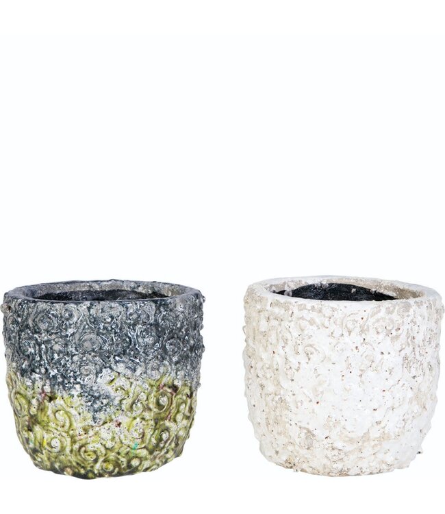 Legend Pot 6.5" Single