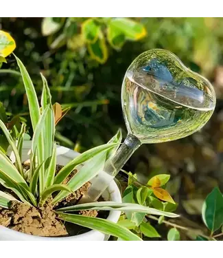 Heart Shaped Plant Watering Stake