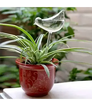 Bird Shaped Self Watering Bulb
