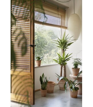 berg Berg Atlas RAW Rosa,  18 cm, Set