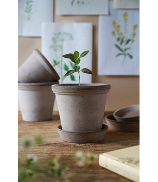 berg Flora RAW Rosa, Set 10cm