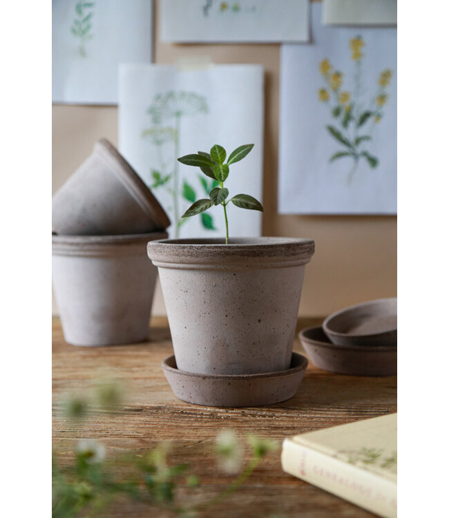 berg Flora RAW Rosa, Set 10cm